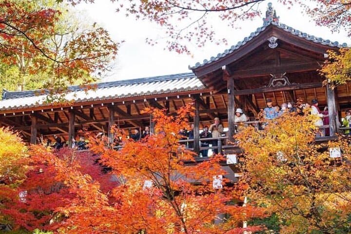 Kyoto tour 12 hours Private Nagoya pick up available — photo 4