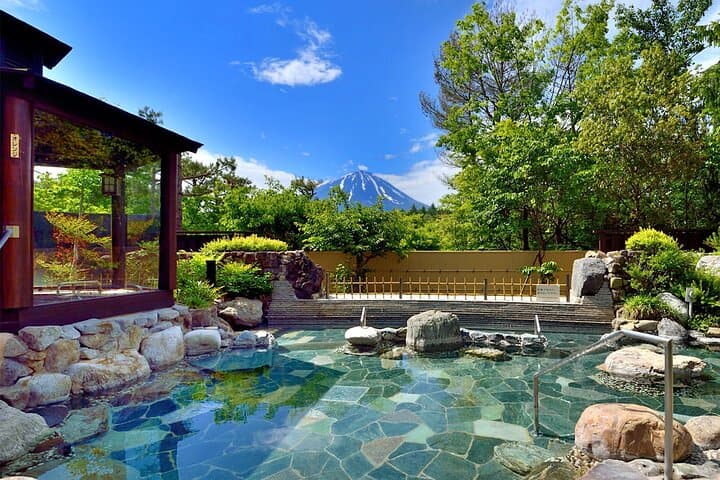 Experience the Stunning Nature of Mt.Fuji - Private Tour — photo 11