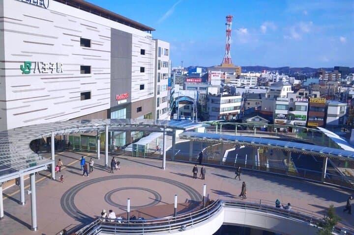 Private Transfer from Haneda Airport to Hachikō City, Japan — photo 4