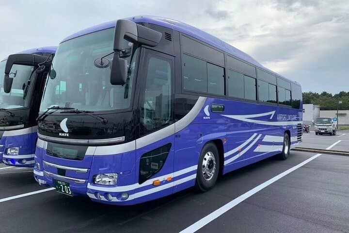 Private Transfer from Haneda Airport to Hachikō City, Japan — photo 6
