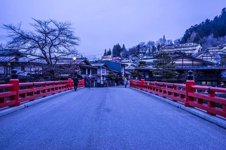 Hida Takayama Shirakawa-go Gassho Village Day Trip in Nagoya — photo 6