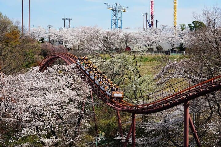 Yomiuriland Day ticket | Tokyo — photo 5