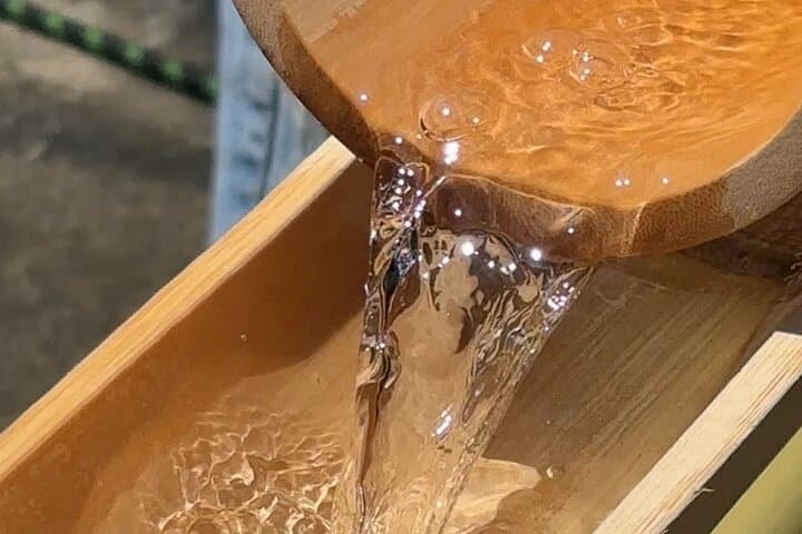 Summer Fun with Flowing Noodles — photo 6