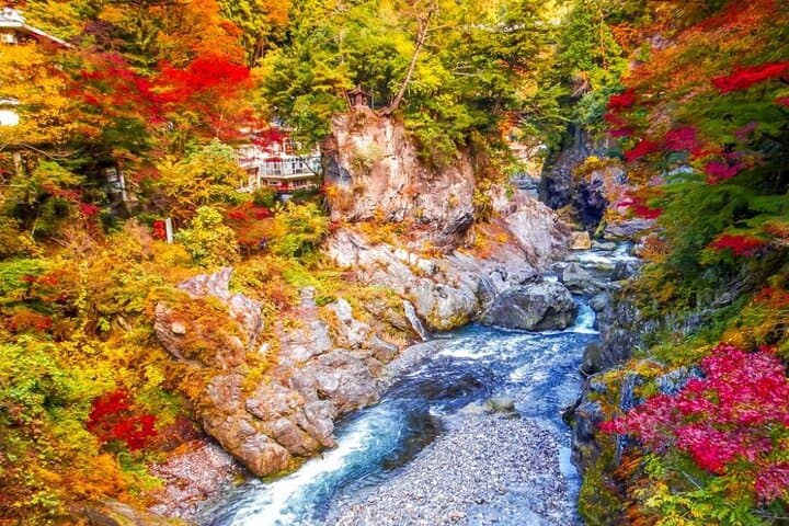 Tokyo Okutama Day Trip Tour — photo 4