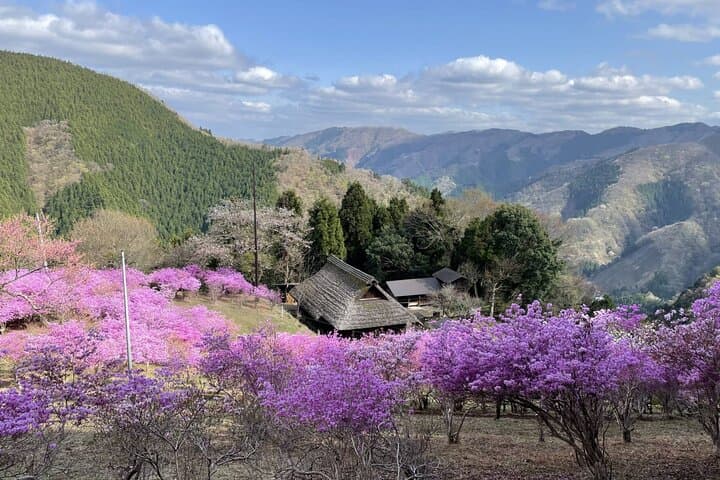 Tokyo Okutama Day Trip Tour — photo 5