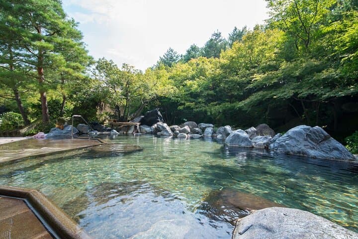Nagashima Mitsui Park and Nagashima Hot Spring One Day Tour — photo 2