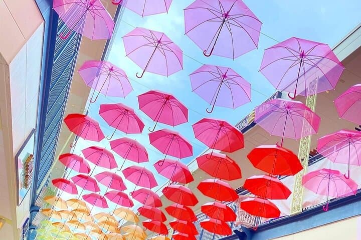 Nagashima Mitsui Park and Nagashima Hot Spring One Day Tour — photo 3
