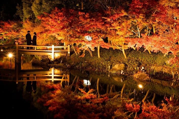 Nagashima Mitsui Park and Nagashima Hot Spring One Day Tour — photo 4