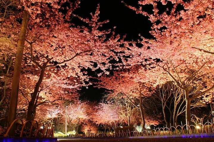 Nagashima Mitsui Park and Nagashima Hot Spring One Day Tour — photo 6