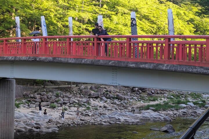 Nagoya: all-inclusive car tour to Korankei valley — photo 7