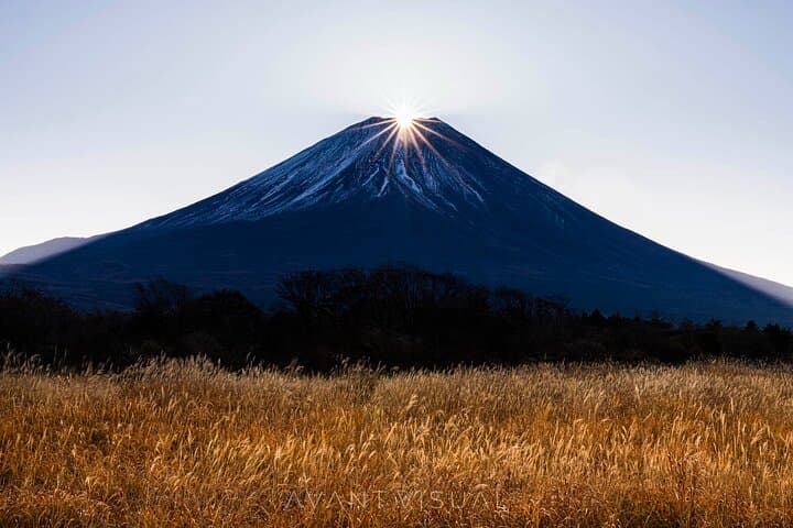 Tokyo To Mount Fuji Private English Guided Day Tour — photo 3