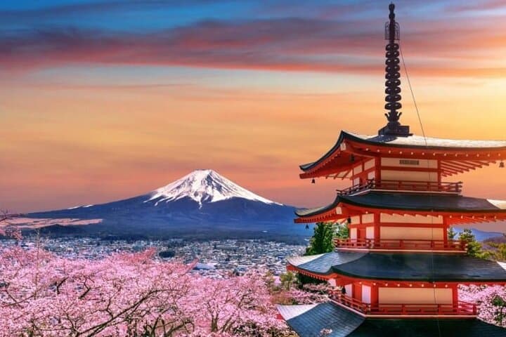 Tokyo To Mount Fuji Private English Guided Day Tour — photo 4