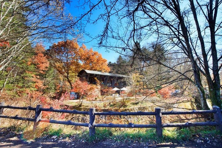 Karuizawa Private Customizable Full Day Tour — photo 2