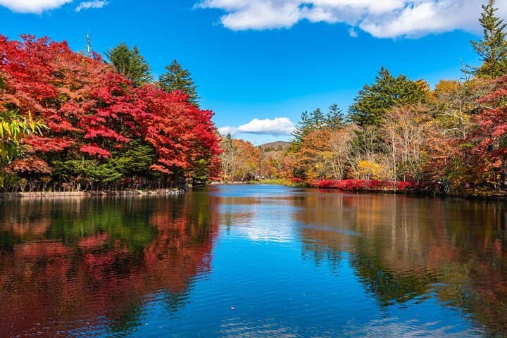 Karuizawa Private Customizable Full Day Tour — photo 5
