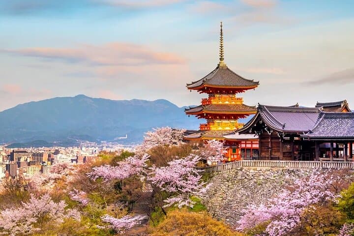 Narita Airport to Kyoto City Japan | Private Transfer. — photo 3
