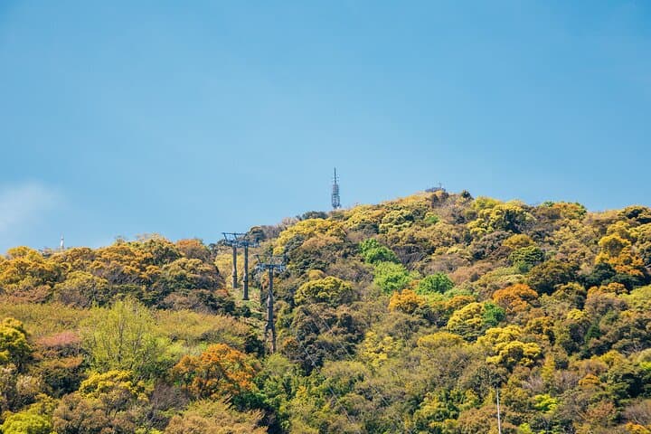 Tokushima Private Customizable Full Day Tour — photo 2