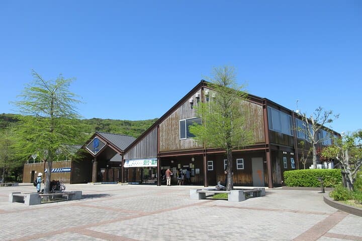Tokushima Private Customizable Full Day Tour — photo 5