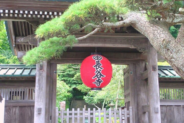 Kamakura Walking Tour with Local Guide Including Hokokuji Temple — photo 7