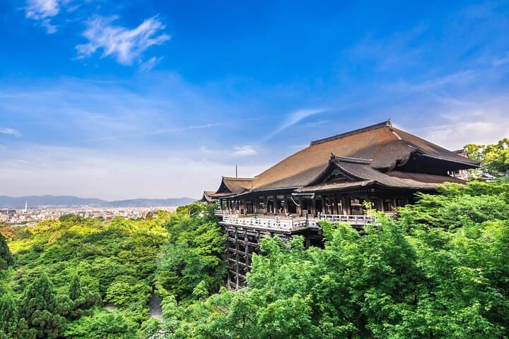 Private Guided Day Tour of Kyoto — photo 4