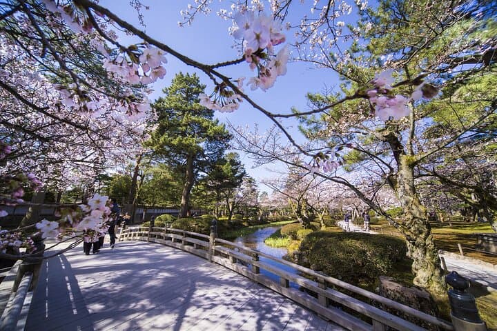 Kanazawa and Shirakawa-go Full-Day Bus Tour — photo 3