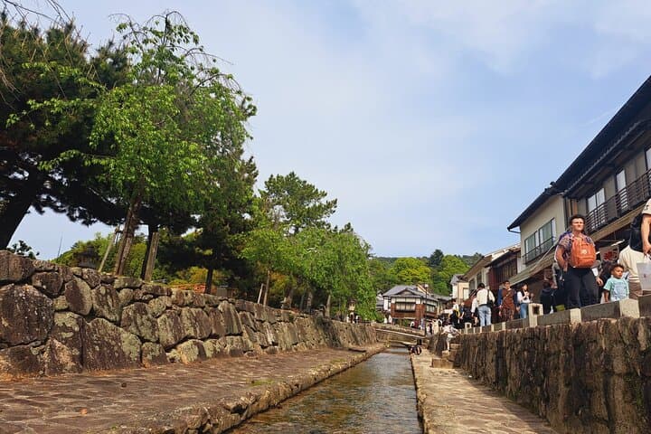 Miyajima UNESCO World Heritage Site Private Tour — photo 6