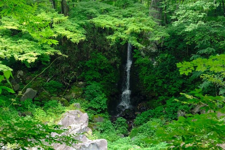 1 Day Tour Explore Nikko’s World Heritage and National Park — photo 11
