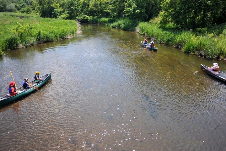 2 Hour Canoe on the Bibi River — photo 3