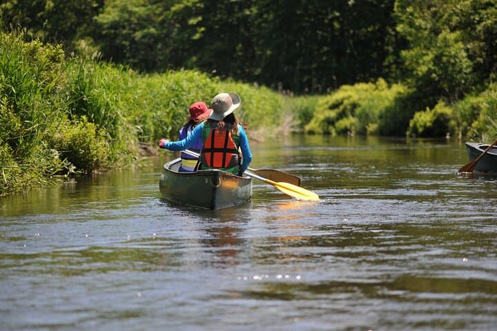 2 Hour Canoe on the Bibi River — photo 4