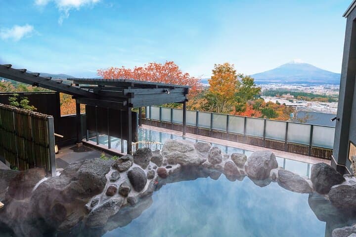 Gotemba Premium Outlets and Konohana no Yu Private Tour — photo 3