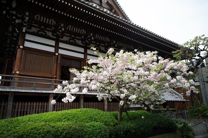 Osaka Photography Masterclass - Private Photography Lesson — photo 13