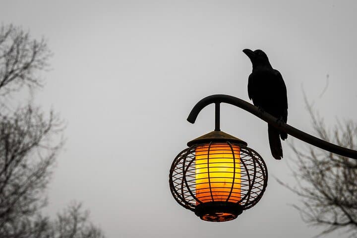 Kyoto Photography Masterclass - Private Photography Lesson — photo 13