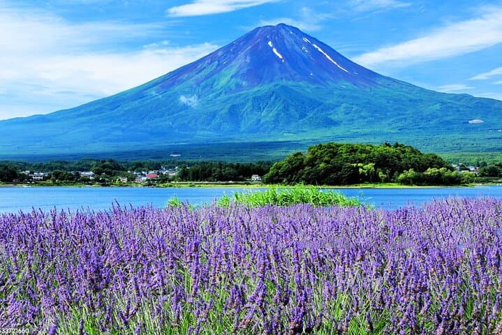 Mt.Fuji Arakurayama Sengen Park,Oshino Hakkai,Kawaguchi Lake Tour — photo 4