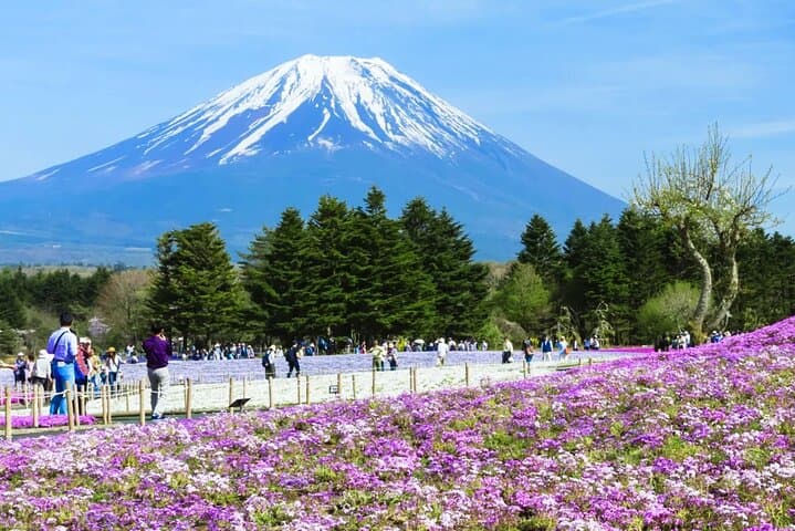 Mt.Fuji Arakurayama Sengen Park,Oshino Hakkai,Kawaguchi Lake Tour — photo 11