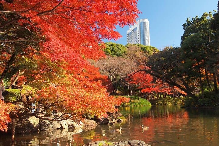 Private Audio Guided Walking Tour in Tokyo — photo 9