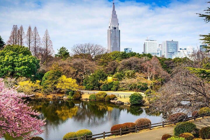 Private Audio Guided Walking Tour in Tokyo — photo 13