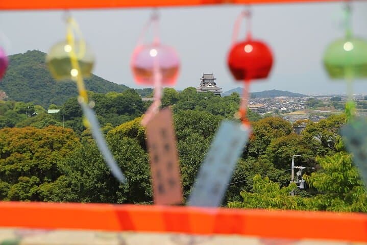 A Fun private Car Tour to Inuyama Castle. — photo 10