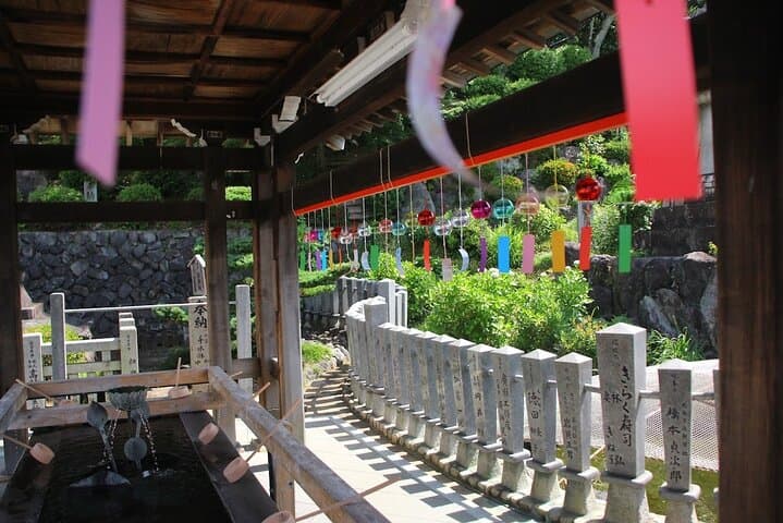 A Fun private Car Tour to Inuyama Castle. — photo 2