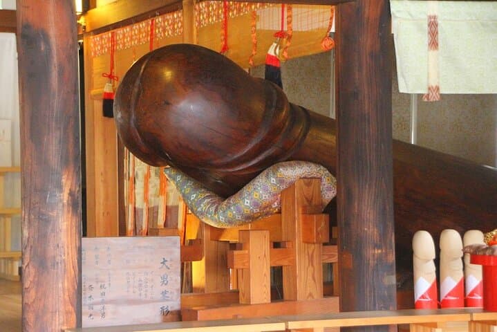 A Fun private Car Tour to Inuyama Castle. — photo 3