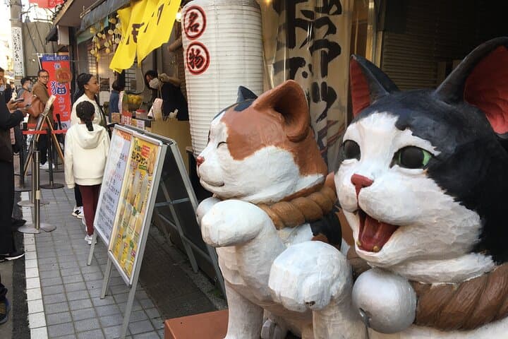 Private Home Visit Style Tour in Yanaka with Local Experience — photo 1