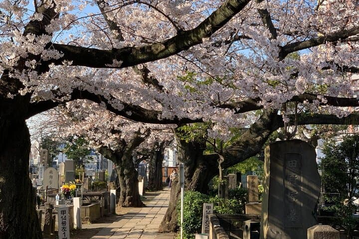 Private Home Visit Style Tour in Yanaka with Local Experience — photo 10