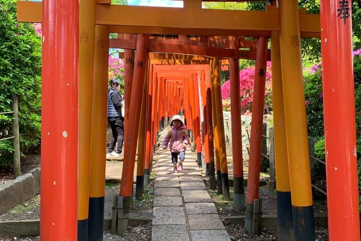 Private Home Visit Style Tour in Yanaka with Local Experience — photo 8