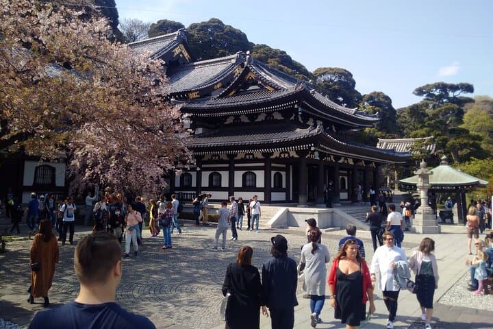 4-Day Private Tour MT Fuji, Kamakura, Hakone, Nikko — photo 19