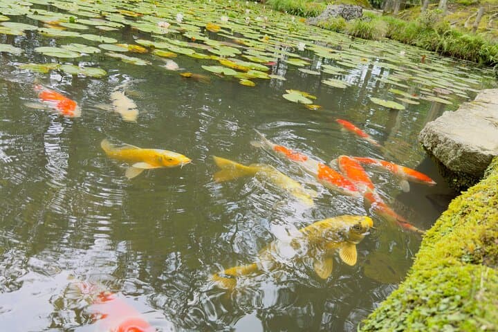 Kyoto Must Do: Eikando, Nanzenji, Zen Temples & Secrets — photo 4