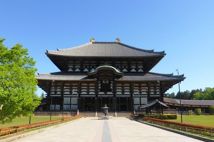 Osaka＆Nara Private Highlights Customizable Tour English Driver — photo 5