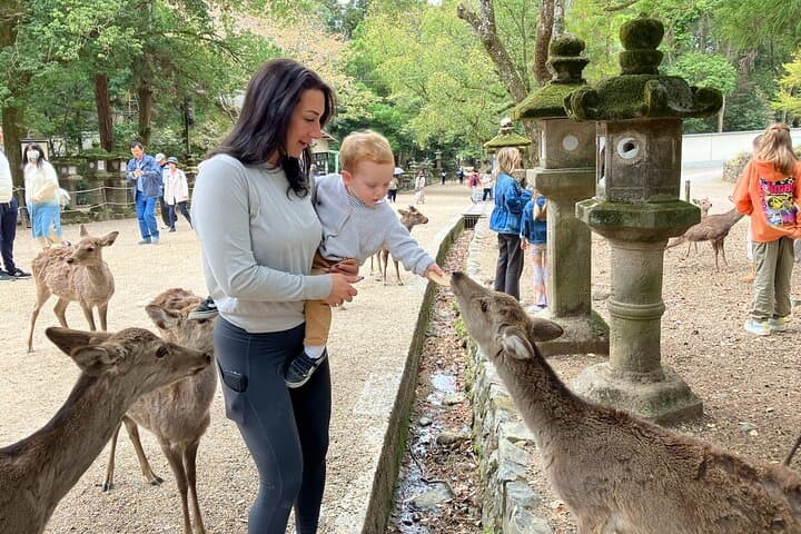 Nara Half Day Tour Discover Ancient Temples and Friendly Deer — photo 2