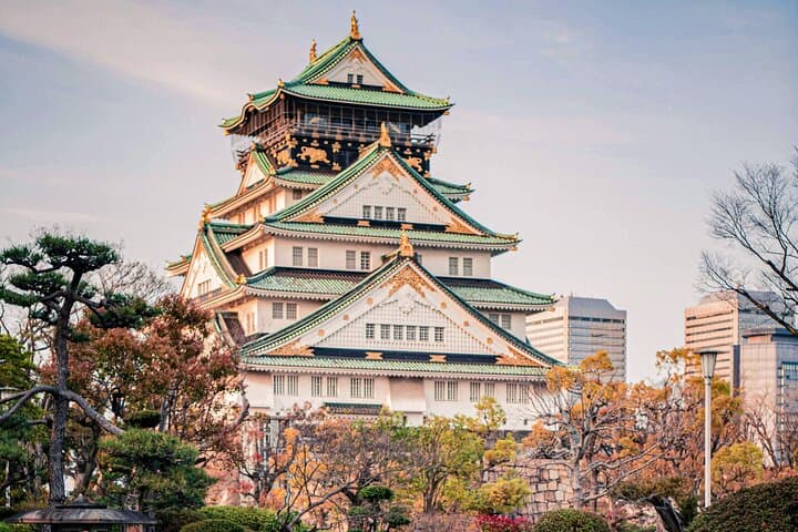 Osaka＆Nara Private Highlights Customizable Tour English Driver — photo 3