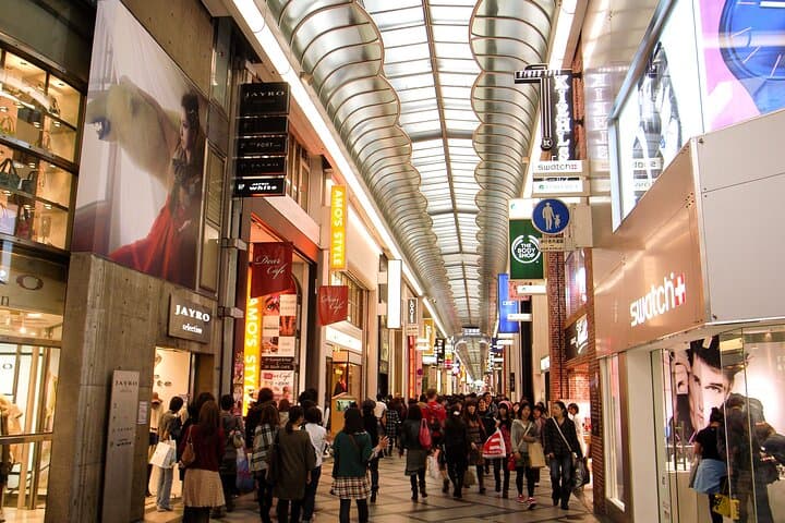 Osaka＆Nara Private Highlights Customizable Tour English Driver — photo 7