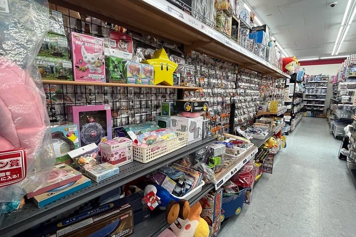 Customizable car tours in Tokyo — photo 6