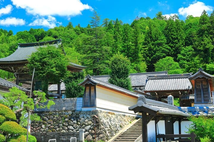 Gujo, Hida Takayama, and Shirakawa-go Day Tour from Nagoya — photo 7