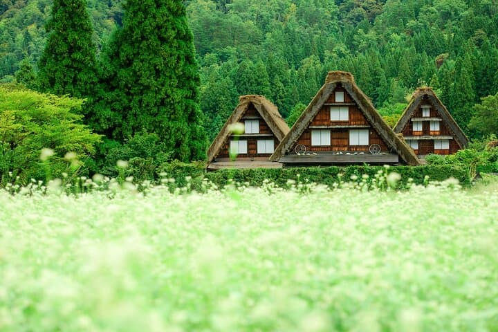 Gujo, Hida Takayama, and Shirakawa-go Day Tour from Nagoya — photo 5